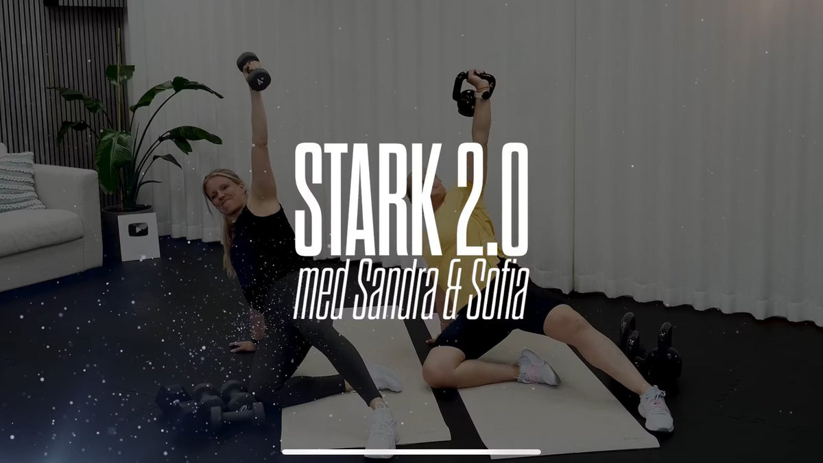 Stark 2.0