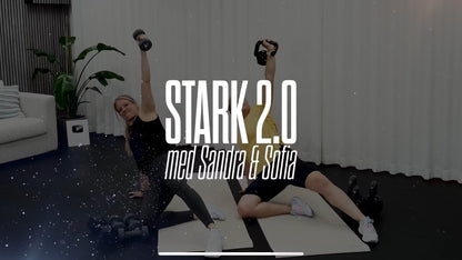 Stark 2.0